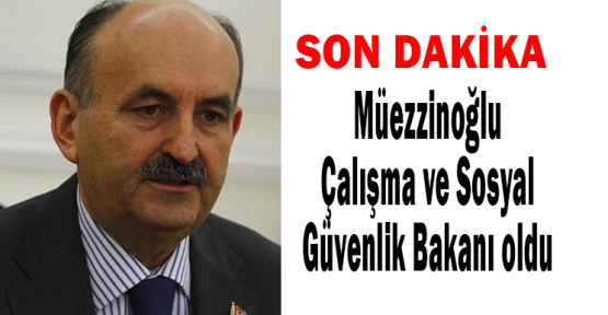 Mehmet Müezzinoğlu Çalışma ve Sosyal Güvenlik Bakanı oldu