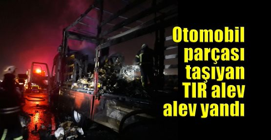 Otomobil parçası taşıyan TIR alev alev yandı