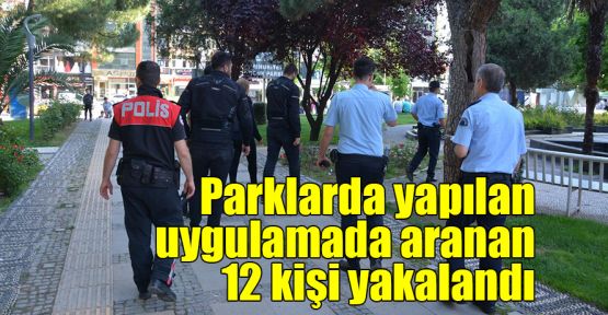  Parklarda yapılan uygulamada aranan 12 kişi yakalandı