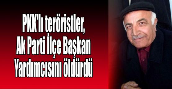  PKK'lı teröristler, Ak Parti İlçe Başkan Yardımcısını öldürdü
