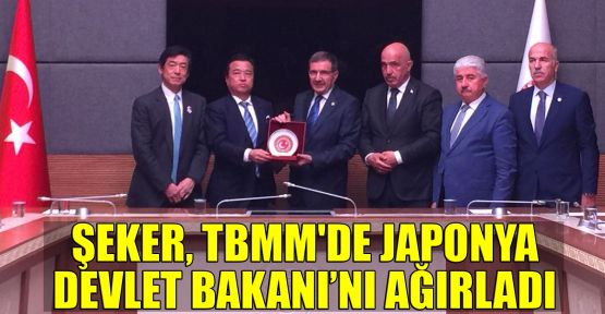  Şeker, TBMM'de Japonya Devlet Bakanı'nı ağırladı