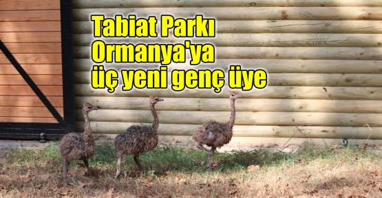 Tabiat Parkı Ormanya'ya üç yeni genç üye