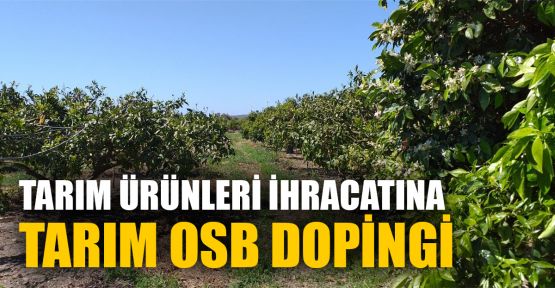  Tarım ürünleri ihracatına Tarım OSB dopingi