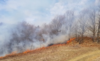 Bursa'da orman yangınında 5 hektarlık alan zarar gördü