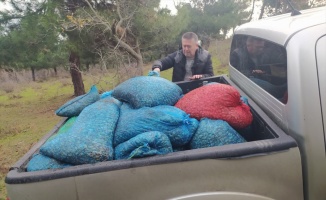 Kaçak toplanan 15 ton kum midyesi ele geçirildi