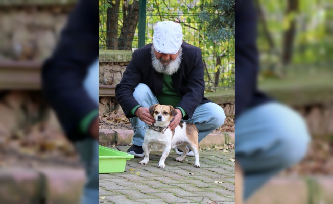 Nefessiz kalan köpeği kalp masajıyla hayata döndürdü