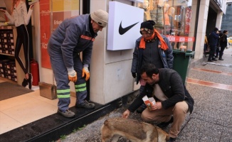 Yalova'da temizlik personelleri sokak hayvanlarını besliyor