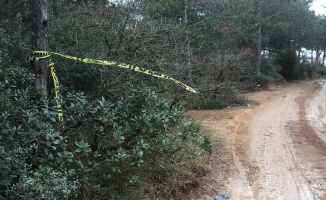 Arnavutköy'de ormanlık alanda kadın cesedi bulundu