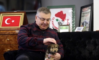 Belediye Başkanı makamını sokak köpeğine açtı