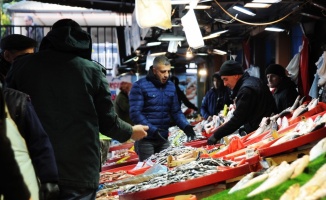 Hamsi Güney Marmara'daki balıkçıların yüzünü güldürmeye başladı