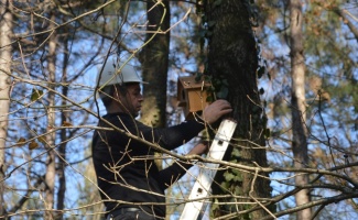 Sakarya'da teknik lise öğrencilerinin yaptığı kuş yuvaları ormanlık alanda ağaçlara yerleştirildi