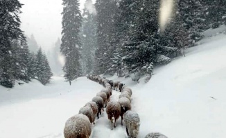 Düzce, Bolu, Sakarya, Kocaeli ve Karabük'te kar yağışı etkili oluyor