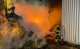 GÜNCELLEME - Kırklareli'nde hayvan çiftliğinde çıkan yangın kontrol altına alındı
