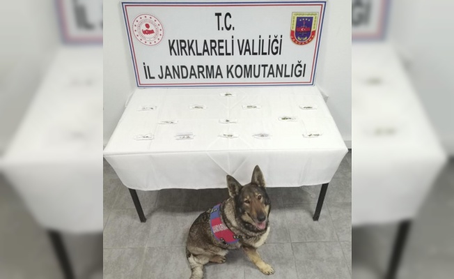 Kırklareli'nde uyuşturucu operasyonunda 2 şüpheli yakalandı