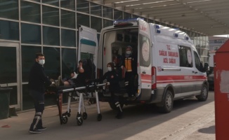 Gebze'de yılanın ısırması sonucu yaralanan kadın hastaneye kaldırıldı