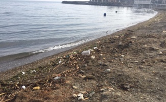 Sapanca Gölü'nde kıyı temizliği yapıldı