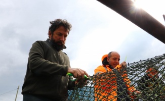 Tekirdağlı balıkçılar deniz salyası nedeniyle av sezonunu erken kapattı