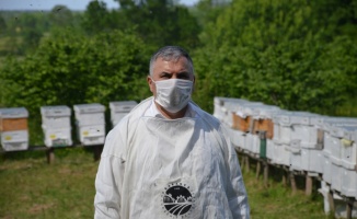 Arı Üreticileri Birliği Başkanı Ör'den üreticilere bakım uyarısı