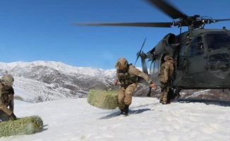Askeri helikopter bu kez yaban hayvanları için havalandı