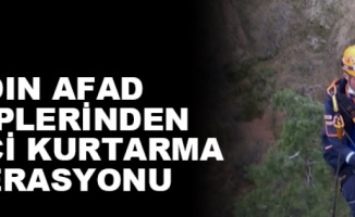 Aydın'da mahsur kalan keçi kurtarıldı
