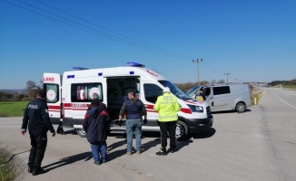 Ayvacık'ta panelvan ile kamyon çarpıştı: 1 yaralandı