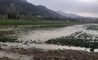 Bilecik'te Göksu Nehri'nin taşması sonucu tarım arazileri su altında kaldı
