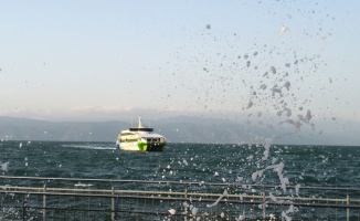 Bursa'dan İstanbul'a deniz ulaşımında kısmi devam kararı