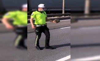 Kara yolunda karşıdan karşıya geçmeye çalışan kaplumbağaya polis yardım etti