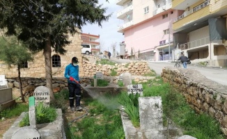 Mardin'de sinek ve haşereye çalışmaları kırsala yayıldı