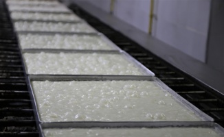 Pastanecilikle sektöre giren işletmeci yurdun dört bir yanına ambalajlı sütlü tatlı gönderiyor