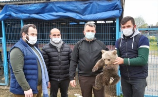 Sakarya'da eve giren ayı yavrusu koruma altına alındı