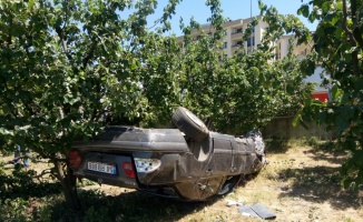 Geyve'de ayva bahçesine devrilen otomobildeki 2 kişi yaralandı