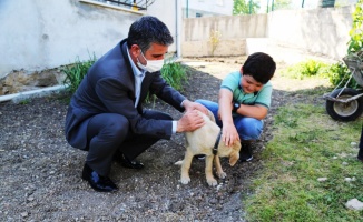 Kandıra Belediye Başkanı Turan'dan hayvansever çocuğa köpek yavrusu sürprizi