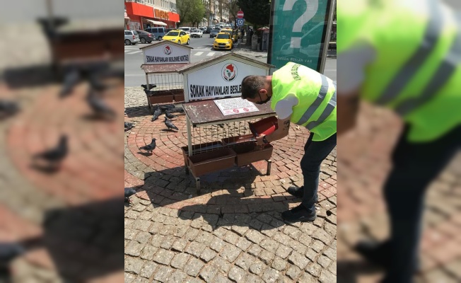 Kırklareli Belediyesinden sokak hayvanlarına mama desteği