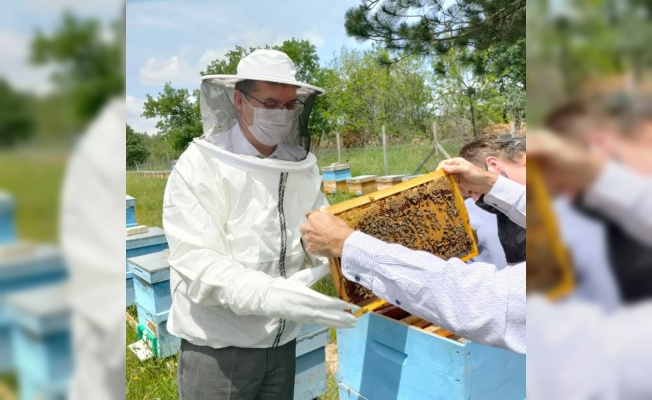 Kırklareli Tarım ve Orman Müdürü Aksoy arı yetiştiricilerini ziyaret etti