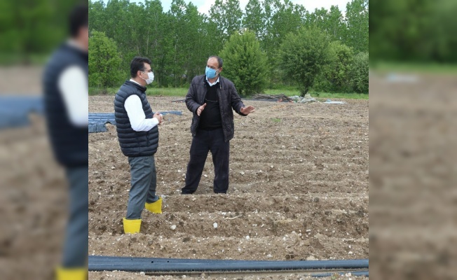 Kırklareli Tarım ve Orman Müdürü Aksoy, çilek üreticilerini ziyaret etti