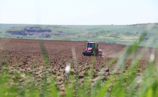 Tekirdağ'da çiftçiler tam kapanma sürecinde ayçiçeği tohumlarını toprakla buluşturuyor