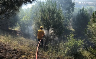 Bursa'da ormanlık alanda çıkan yangına sebep olduğu iddia edilen kişi gözaltına alındı