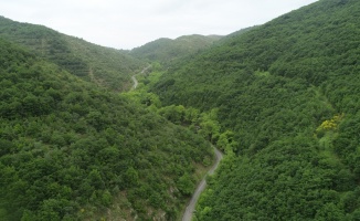 Ganos Dağı eteklerindeki ormanlar ziyaretçilerine görsel şölen sunuyor