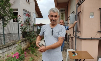 Kocaeli'de ayağı çatıya sıkışan martıyı itfaiye ekipleri kurtardı
