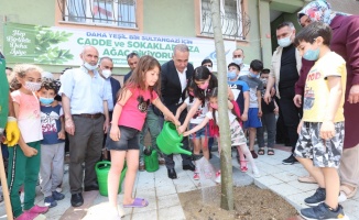 Sultangazi Belediyesi, ağaç dikim seferberliği başlattı