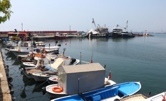 Tekirdağlı balıkçılar müsilaj nedeniyle denize ağ atamıyor