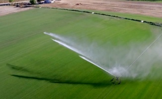 Trakya'da bu yıl 695 bin 720 dekar tarım arazisi suyla buluşacak