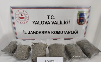 Yalova'da uyuşturucu operasyonlarında 3 şüpheli gözaltına alındı