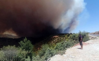 Antalya Manavgat’ta orman yangını yerleşim yerlerine sıçradı