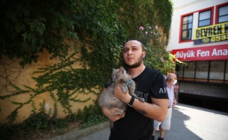 Bursa'da yangında mahsur kalan kedileri itfaiye kurtardı