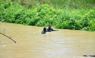 Sakarya Nehri'nde kaybolan genci arama çalışmaları sürüyor