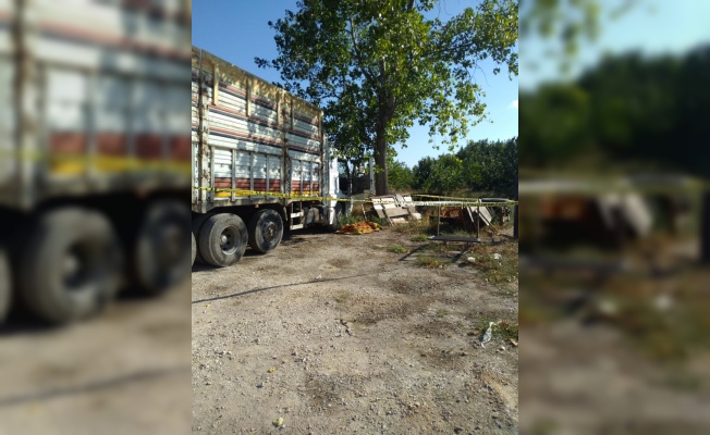 Balıkesir'de bir kamyon sürücüsü, aracının yanında ölü bulundu
