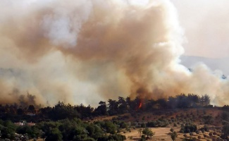 Bekir Pakdemirli’den orman yangını açıklaması