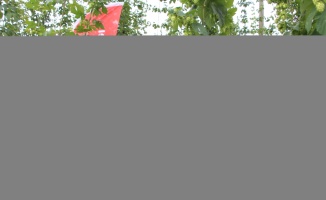 Bilecik'in Pazaryeri ilçesinde şerbetçiotu hasat etkinliği yapıldı